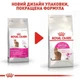 Сухий корм Royal Canin Savour Exigent - для котів, вибагливих до смаку, 10 кг (2531100) - зображення 7