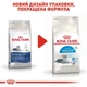 Сухой корм Royal Canin Indoor 7+ - для взрослых кошек, не покидающих помещение старше 7 лет, 1.5 кг (25480159) - изображение 7
