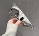 Панель WinterFlowers для Apple Iphone 13 ProMax Silver - зображення 2