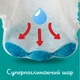 Підгузки - трусики Pampers Pants Розмір 3 (6-11 кг) 62 шт (8006540069233) - зображення 5