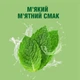 Ополіскувач для ротової порожнини Listerine Naturals з ефірними оліями 500 мл (3574661657462) - изображение 4