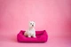 Лежак Harley and Cho Dreamer Berry XХL 120x80 cm Фуксия для собак (3100073) - изображение 6