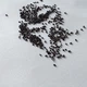 Котовник Великоквітковий насіння 0,02 гр. (прибл. 30 шт) (Nepeta grandiflora) багаторічний котяча м'ята великоцвіта медонос - зображення 11