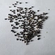 Шавлія Іспанська насіння 0,05 гр (прибл. 20 шт) (Salvia hispanica) Чіа біла - зображення 12