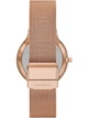 Жіночі наручні годинники Skagen SKW3020 - изображение 3