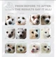 Cухий rорм Nature's Protection White Dogs GF Insect Adult Small Breeds нейчер протекшн з білком комах для собак малих порід з білим забарвленням вовни 1.5 кг (4771317472991) - изображение 2