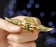 Іграшка Антистрес Snitch Спіннер Снітч з Гаррі Поттера Фіджет, Крутилка Золотий (00278) - зображення 2