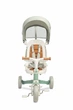 Детский трехколесный велосипед Caretero (Toyz) Faro Green - изображение 7