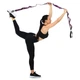 Лента эспандер стропа с 10 петлями для растяжки 220 м х 3.8 см STRETCHING STRAP EZOUS I-02 - изображение 1