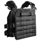 Плитоноска (Plate Carrier) Black - изображение 3
