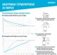 Термокружка Kambukka Olympus 500 мл Насыщенно синяя (11-02029) - изображение 7