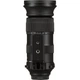 Объектив Sigma 60-600mm f/4.5-6.3 DG OS HSM Sports (Nikon F) - изображение 6
