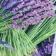 Набор для вышивания бисером картины ARHIBIS Букет Лаванды, 21*30 см (2474) - изображение 5