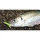 Силикон Owner Micro Worm MW-04 1.3" (8шт) 27 Clear Pink Glitter Glow - изображение 4