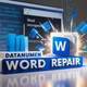 DataNumen Word Repair – Відновлення документів, безтермінова ліцензія, 1 ПК - изображение 1