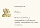 Туалетная вода Nutmeg & Ginger Cologne Jo Malone London (без картонной упаковки 100 ml) - изображение 2