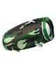 Портативна колонка BOROFONE BR3 Rich sound sports wireless speaker IPX5, BT5.0, AUX, USB, TF, FM, TWS, 10W, 3h Camouflage Green - зображення 1