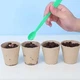 Набор для опытов домашняя теплица Home made plant Игровой набор теплица для выращивания растений с семенами - изображение 7