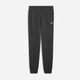 Спортивные штаны мужские Puma Ess Sweatpants Tr Cl 68261607 S Dark Gray Heather (4067983595455) - изображение 5
