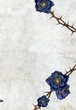 Книга Сага сестёр-ведьм. Сестра звёзд. Том 1/ Мара Вульф. Серия-Фэнтези Мары Вулф (на украинском) (2000003067237) - изображение 3