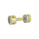 Гантель Yellsteel inSPORTline 20837 хромована 7 кг - зображення 1