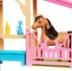 Barbie The Great Horse Chase Лялька барбі Рене ігровий набір HXJ40 - зображення 5