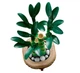 Конструктор LEGO Botanicals Бамбук счастья 325 деталей (10344) - изображение 5