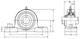 Подшипник в корпусе UCP 313 (UCP313) BBC-R - изображение 3