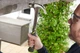 Молоток столярний Ryobi RHHSCC560 магнітний тримач цвяха, цвяходер 560 г (5132006036) - зображення 7