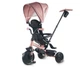 Трехколесный велосипед 6 в 1 Qplay Elite Platinum Pink от 10 месяцев до 6 лет (qp-6273) - изображение 2