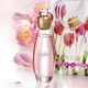 Женская туалетная вода Avon Celebre 50 мл - изображение 2