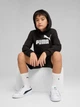 Детское худи для мальчика Puma Ess No. 1 Logo Tr 68490901 134-140 см Black (4067983585173) - изображение 3