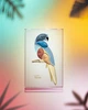 Тени для век Pupa Beauty Kit Parrot Rio 14.8г (8011607382019) - изображение 3