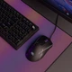 Проводная мышь Proove Gaming Defiant Black - изображение 2