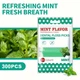 Флос-зубочистки Dental Fresh мʼята 300 шт - зображення 3