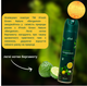 Упаковка освіжувачів повітря iFresh Green Nature Bergamot 300 мл х 2 шт (2000999990335) - зображення 3