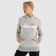 Женское Худи Ellesse Torices OH Hoody Серый XS (7dSGS03244-112 XS) - изображение 1