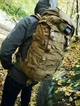 Тактичний наплічник Tasmanian Tiger Mil OPS Pack 30, Coyote Brown TT 7323.346 - зображення 4