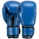 Рукавички шкіряні боксерські на липучці Fistrage Fight Gear 5543 розмір 10 унцій Blue - зображення 1
