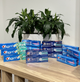 Зубна паста Crest Pro-Health Advanced Mint Burst 141 г - изображение 2