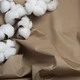 Ткань плащевая ВИВА бежевая 4948315 - изображение 2