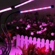 Фитолампа USB для роста растений на 3 лампы, светодиодная LED фито лампа на прищепке светильник для комнатных цветов и рассады - изображение 6