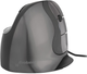 Мышь ​BakkerElkhuizen Evoluent D Medium USB Black/Grey (BNEEVRD) - изображение 1