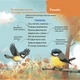 Віршенята-гралочки. Забавлянки, утішки, руханки, лічилки для малят 0+ (9786170043054) - изображение 7