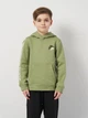 Детское теплое худи на флисе для мальчика Nike B Nsw Si Flc Po Hoodie Bb2 HM4339-386 128-137 см Салатовое (197599790266) - изображение 1
