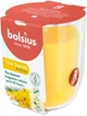 Свеча Bolsius True Scents 25 часов в стекле 80/73 мм Мимоза (8717847188519) - изображение 2