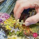 Пазл Цветочный рынок 1000 элементов CherryPazzi - изображение 4