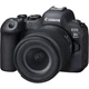 Беззеркальный фотоаппарат Canon EOS R6 Mark II kit (24-105mm) IS STM (5666C030) - изображение 1