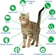 Капли от блох, клещей и гельминтов для котов весом от 2.5 до 7.5 кг NexGard Combo (НексГард Комбо) Boehringer Ingelheim, 3 шт - изображение 2