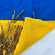 Флаг Украины 140*90см в деревянном кейсе / Флаг Украины ко Дню Независимости в коробке с гравировкой - изображение 9
